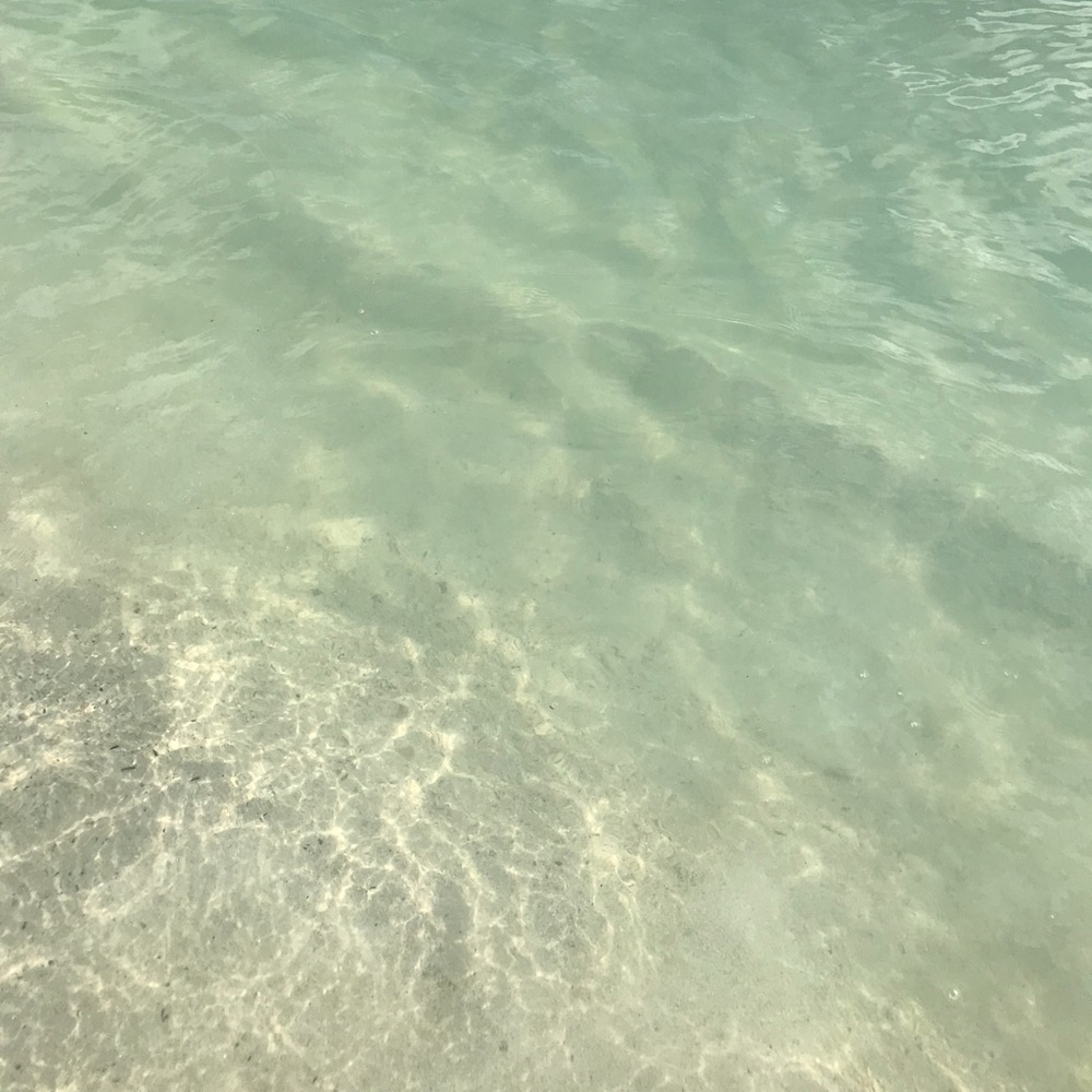 Meet your Posher, April